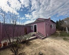 Suraxanı r., Yeni Günəşli q.