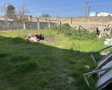 Xəzər r., Şağan q.