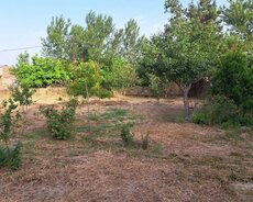 Abşeron r., Ceyranbatan q.