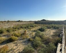 Sabunçu r., Nardaran q.