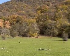 Oğuz, Oğuzda torpaq