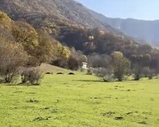 Oğuz, Oğuzda 12-sot