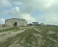 Abşeron r., Hökməli q.