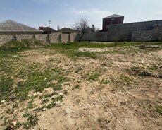 Xəzər r., Buzovna q.