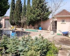 Xəzər r., Buzovna q.