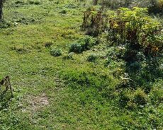 Quba, Quba Alpan yolunda 14 sot torpaq –