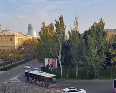 Yasamal r., Elmlər Akademiyası m.