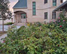 Xəzər r., Buzovna q.