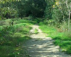 Xətai r., Həzi Aslanov m.