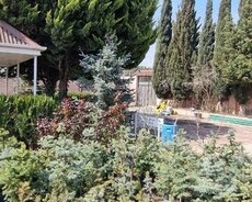 Xəzər r., Buzovna q.