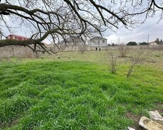 Xəzər r., Buzovna q.