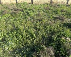 Sabunçu r., Maştağa q.