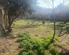 Sabunçu r., Bilgəh q.