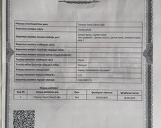 Şamaxı, Kupçalı torpaq sahibinden