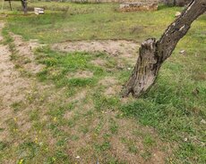 Sabunçu r., Maştağa q.