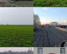 Sabirabad, Torpaq və ev satisi