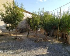 Sabunçu r., Maştağa q.