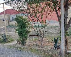 Abşeron r., Masazır q.