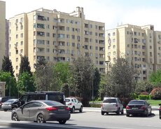 Yasamal r., Elmlər Akademiyası m.