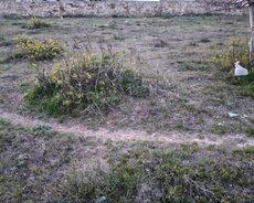 Sabunçu r., Maştağa q.