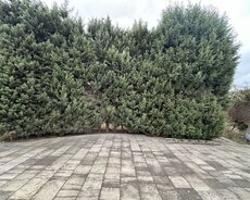 Abşeron r., Novxanı q.