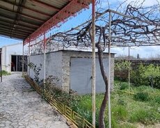 Xəzər r., Buzovna q.