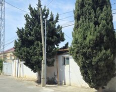 Xırdalan, 10 sot kupçalı torpaq satılır