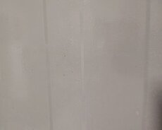 Quba, 1 illik arenda