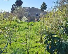 Abşeron r., Saray q.