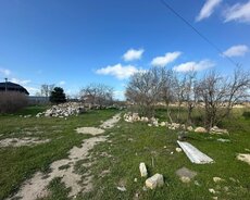 Xəzər r., Buzovna q.