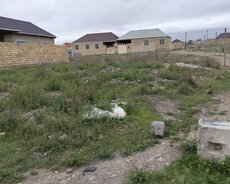 Gəncə, 2705 dairəsi yaxınlığında torpaq satılır