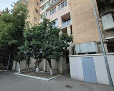 Nəsimi r., 28 May m.