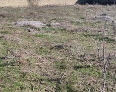 Abşeron r., Mehdiabad q.