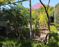 Xəzər r., Buzovna q.