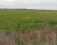 Kürdəmir, Xususi mulkiyyet pay torpagi