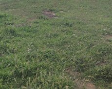 Abşeron r., Mehdiabad q.