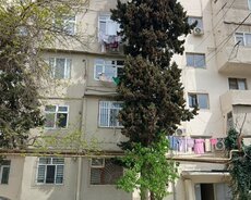 Suraxanı r., Qaraçuxur q.