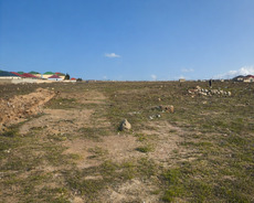 Xəzər r., Buzovna q.