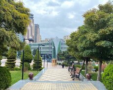 Yasamal r., Elmlər Akademiyası m.