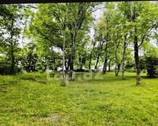 Oğuz, Satilir 9 sot