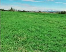 Sumqayıt, Saray qəbirstanlığının yanı