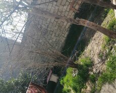 Yasamal r., İnşaatçılar m.