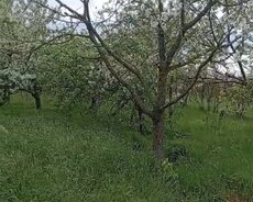 Bərdə, Satılır – Bərdə rayonunda torpaq