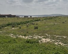 Abşeron r., Novxanı q.