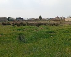 Sabunçu r., Nardaran q.