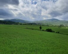 İsmayıllı, Əkin sahəsi 1 hektar