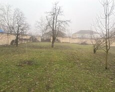 Quba, cennet bagina yaxin erazide