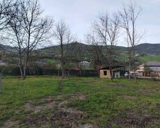 Quba, Quba rustovda 12 sot torpaq satılır