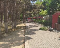Xırdalan, Restoran cay evi icareye verilir