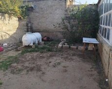 Sabunçu r., Maştağa q.